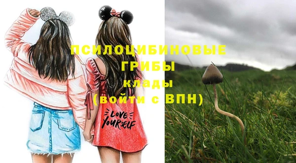 гашиш Арсеньев