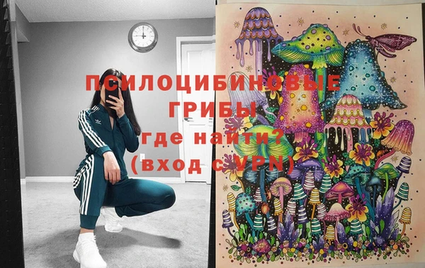 скорость Ельня