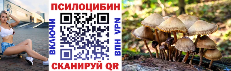 MEGA ссылки  Чернушка  Галлюциногенные грибы Magic Shrooms 